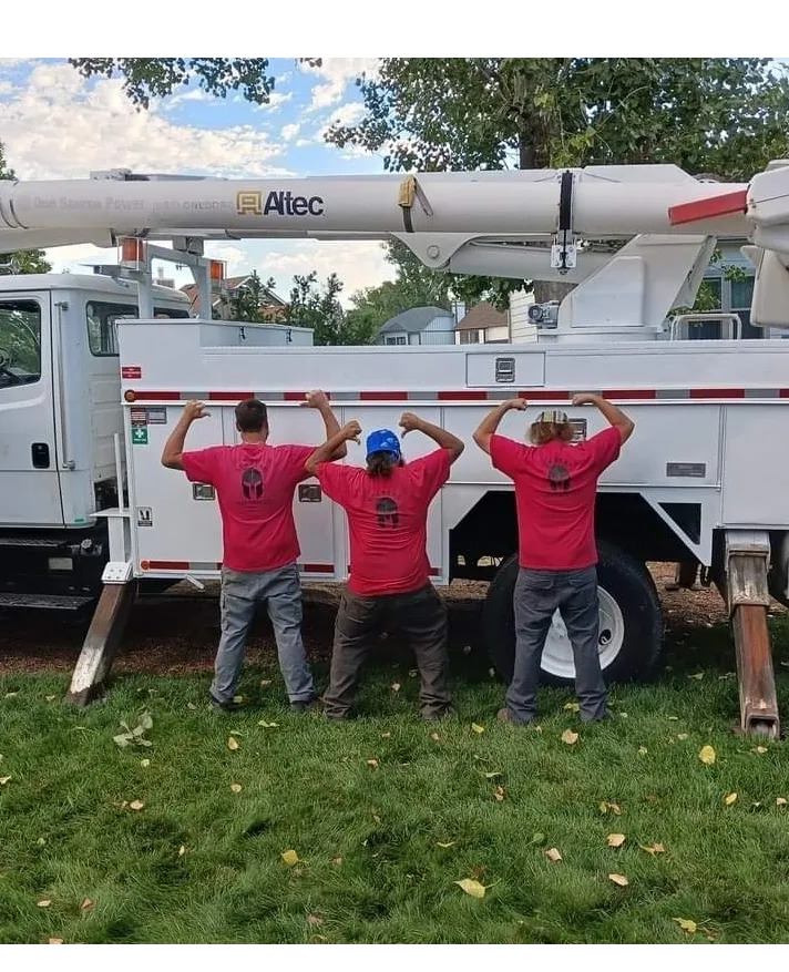 Tree planting Company in Madison