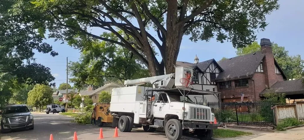 Tree pruning Company in Madison